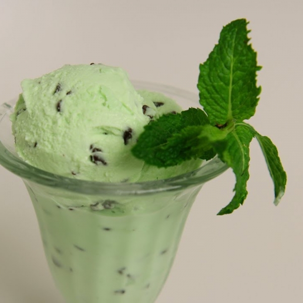 Mint Chocolate Chip Ice Cream