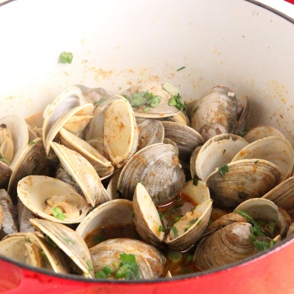 Thai Curry Clams